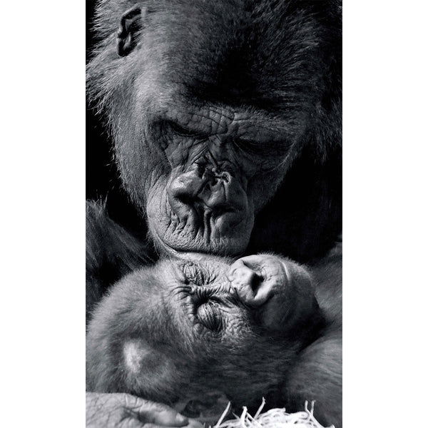 Nealie 30x50 Black & White Premium Quality Canvas Wall art