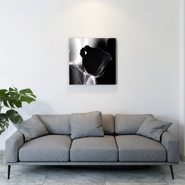 Nolia 30x30 Black & White Premium Quality Canvas Wall art